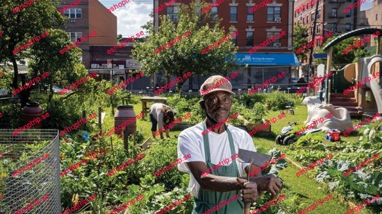 Urban Gardening Mastery Grow Your Own Food in the City