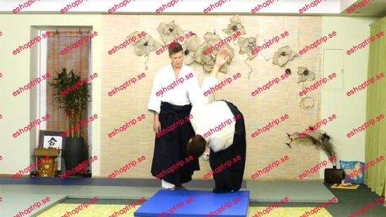 100 Aikido Ukemi Build Up Advanced Level