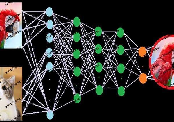 A deep dive in deep learning ocean with Pytorch & TensorFlow