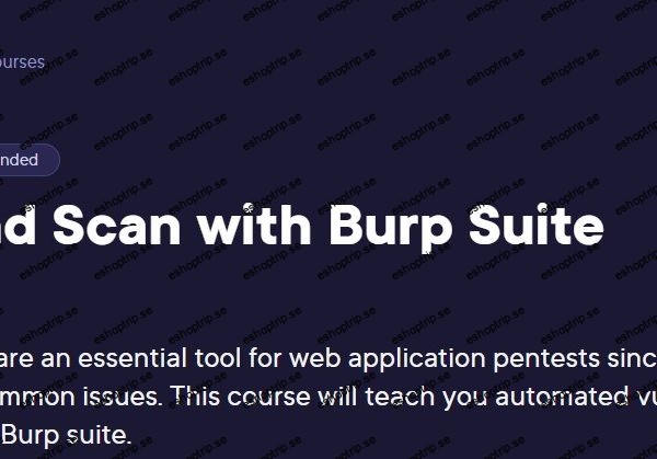 Crawl and Scan with Burp Suite