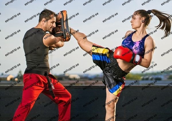 Martial Arts How to Punch, Kick & Move like a Pro!