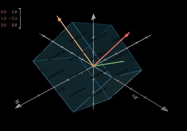 Mathematics Behind Large Language Models and Transformers