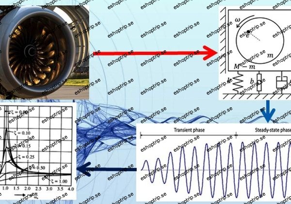 Mechanical Vibrations' Fundamentals