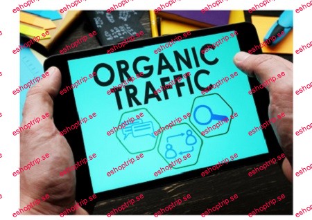 Organic Acceleration How I turned $20 to 7 figs with Organic Traffic