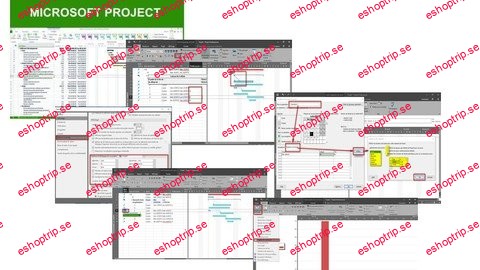 Planifier Et Gerer Un Projet Sous Msproject 2016