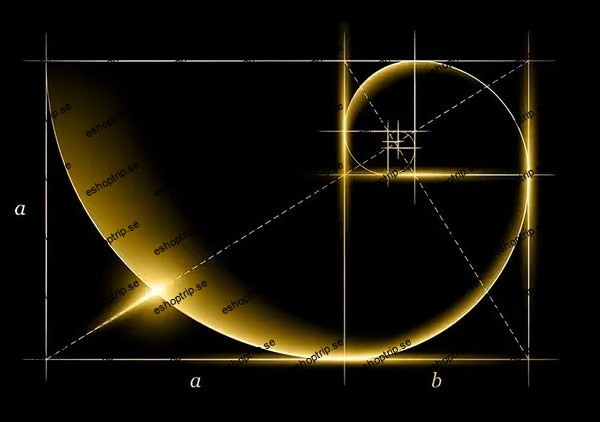 The Complete Mathematics for Quantum Computing Course