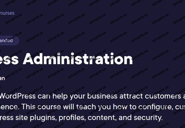 WordPress Administration (2024)