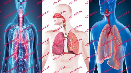 Certificate Course in Human Respiratory System