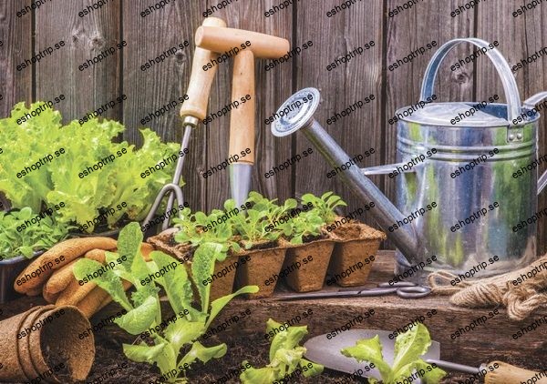 Gardening and Herb Mastery The Ultimate Guide to Success