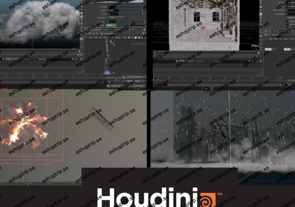 Houdini Effects Workshop