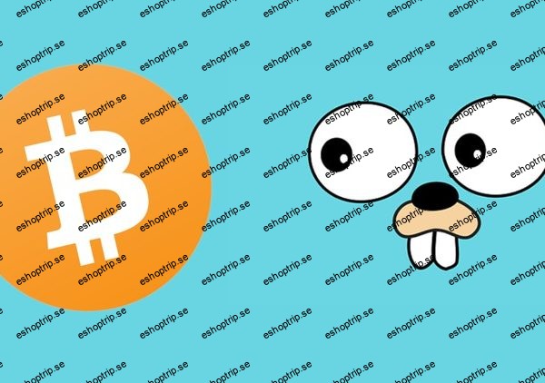 Mastering Bitcoin core with Go Build Your Own Bitcoin