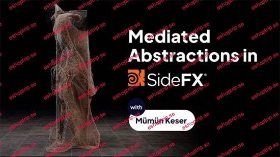 Mediated Abstractions in SideFX Houdini