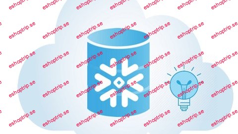 Snowflake Database Tips, Techniques And Cool Stuff