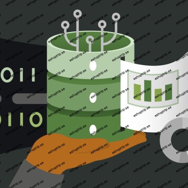 Advanced SQL Project Design and Manage a Database