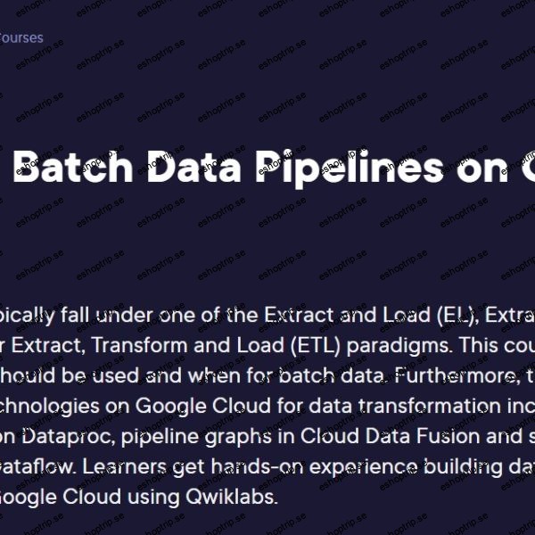 Building Batch Data Pipelines on Google Cloud (2024)