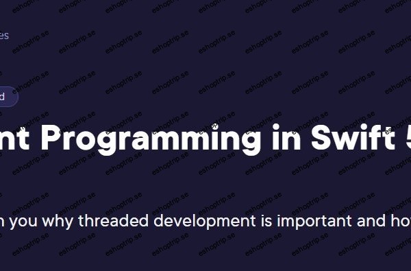 Concurrent Programming in Swift 5 (2024)