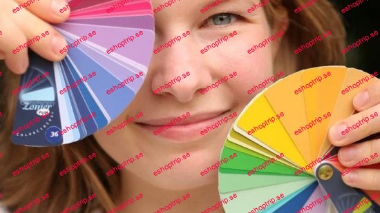 Discover Your Palette Mastering Basics of Color Analysis