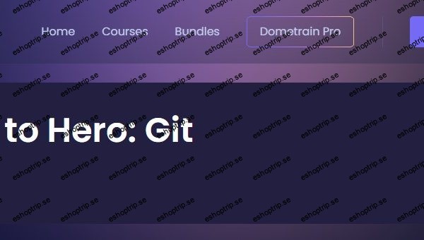 Dometrain From Zero to Hero Git