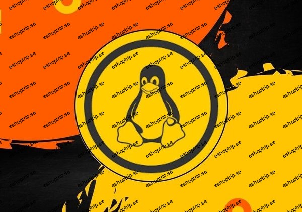 Master Linux Basics Easy Projects with Deep explanation