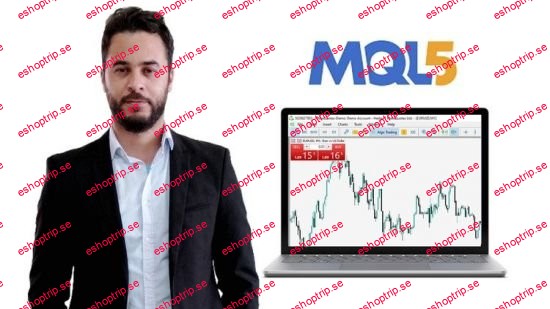 MetaTrader Algorithmic Trading Course Code Useful Scripts!