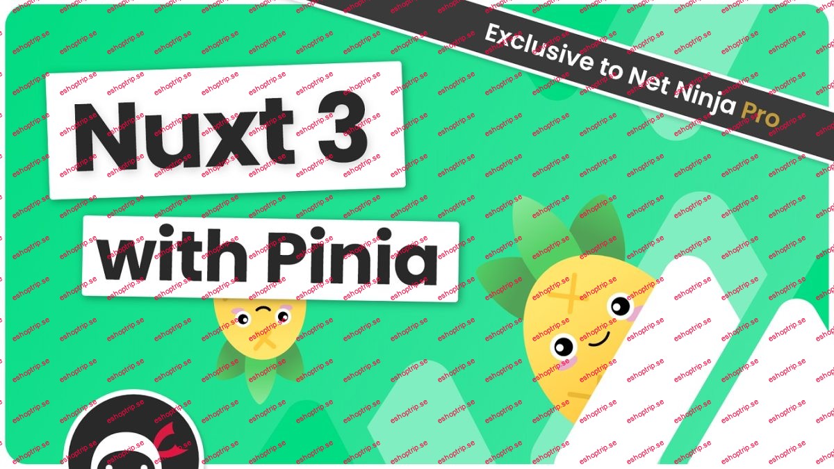 Net Ninja Nuxt 3 With Pinia