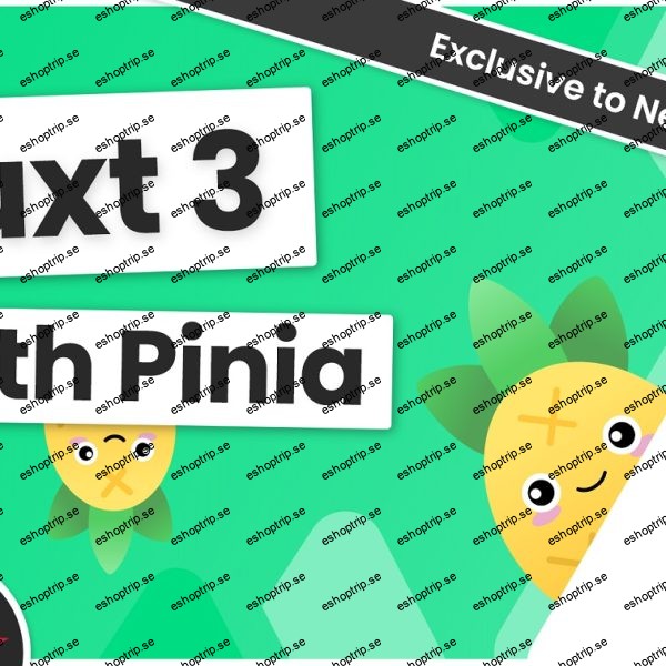 Net Ninja Nuxt 3 With Pinia