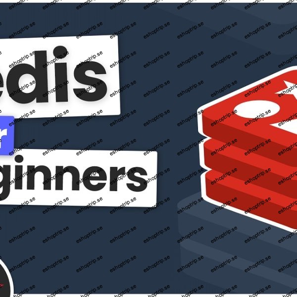 Net Ninja Redis for Beginners