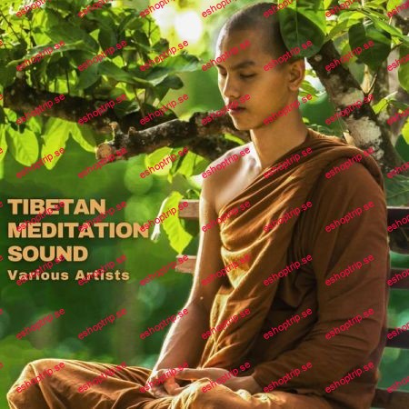 Various Artists Tibetan Meditation Sound (2022)