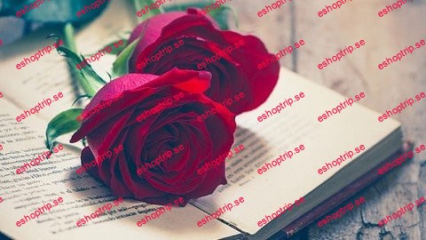 11 Principles To Master Romance Writing