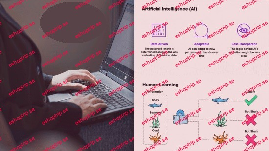 AWS Maching Learning and Artificial Intelligence Fundamentals