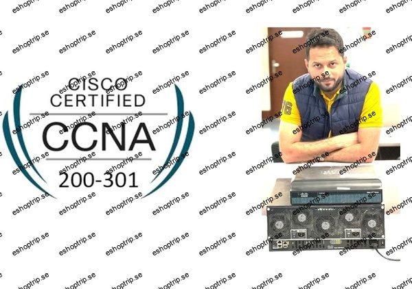 CCNA v1.1 [200 301] Video training course (2024)