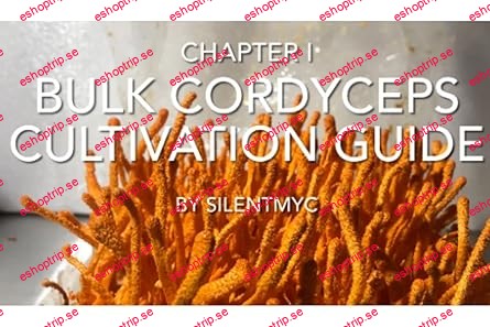 Chapter 1 Bulk Cordyceps Cultivation Guide by SilentMyc Trayless bag Method