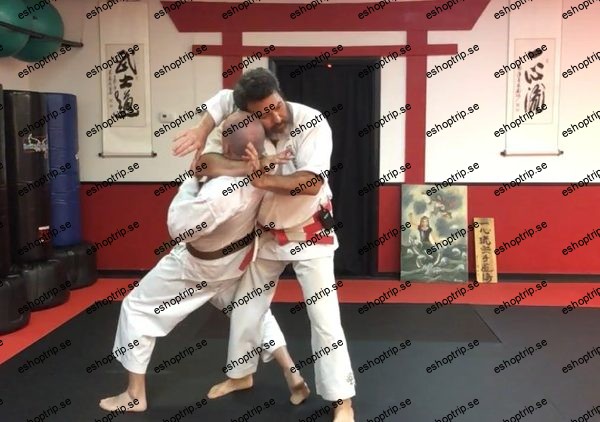 Dissect the Dissection of Isshinryu Seisan Kata Bunkai