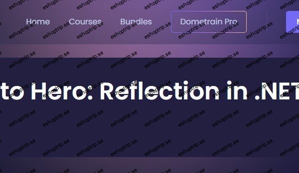 Dometrain From Zero to Hero Reflection in .NET