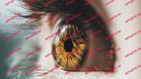 Emdr Therapy From Basics To Advanced Techniques