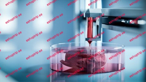 Fundamentals Of Bioprinting By Amaris Castanon