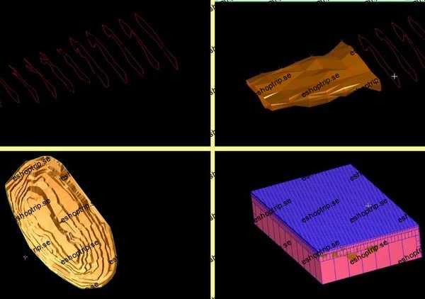 GEOVIA Surpac Complete Training from Survey To Estimation