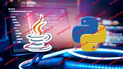 Java & Python Programming Mastery Learn To Code Like A Pro