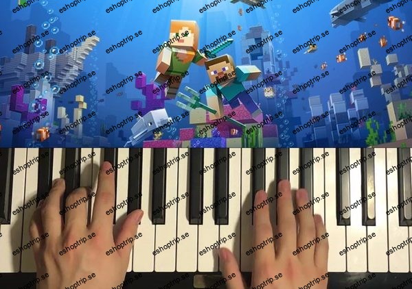 Learn to play Minecraft Wet Hands on Piano (Step by Step)