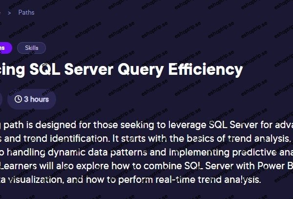 Learning Path Enhancing SQL Server Query Efficiency