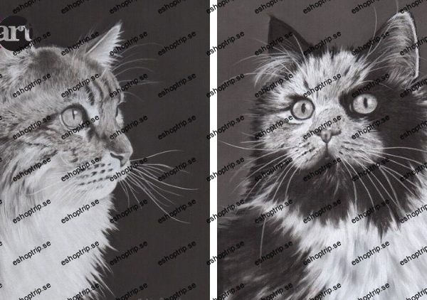 Master Cat Portraits Create Stunning Feline Art with Pastel