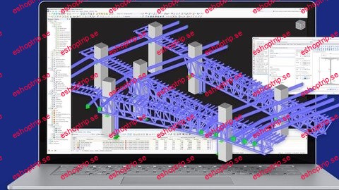 Mastering Structural Steel Design With Rstab