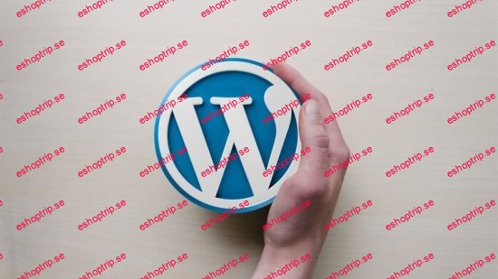 Mastering WordPress Theme Development