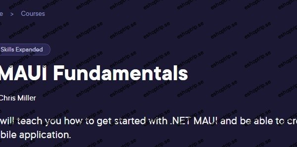 NET MAUI Fundamentals