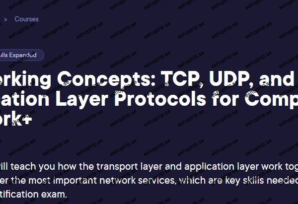 Networking Concepts TCP, UDP, and Application Layer Protocols for CompTIA Network+