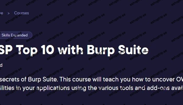 OWASP Top 10 with Burp Suite