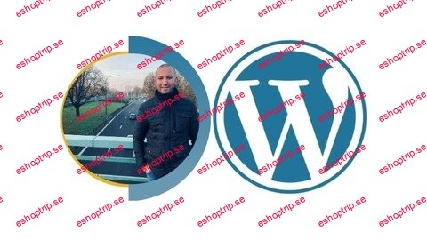 WordPress Essentials Build a Professional Website in Hours