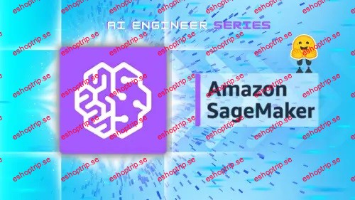 ZerotoMastery AI Engineering Bootcamp Build, Train & Deploy Models with AWS SageMaker