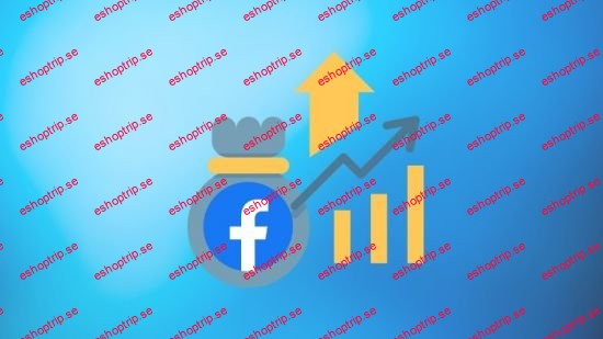 facebook ads strategies in 2024 that make me 7 figure