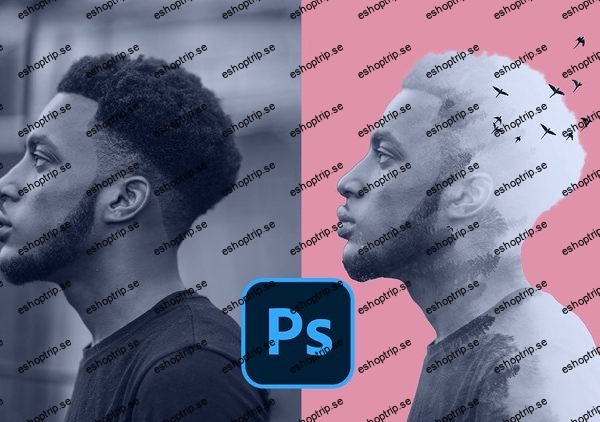 Adobe Photoshop Master all the Basics in a Weekend! (FAST)